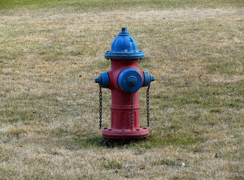 IMG_2129-hydrant.jpg