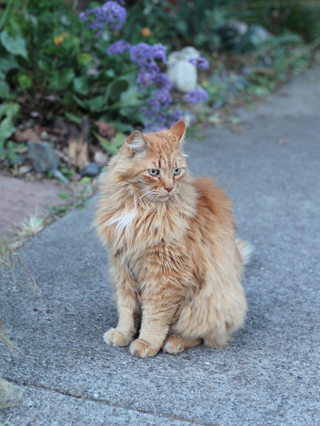 A51G8199-harry.jpg