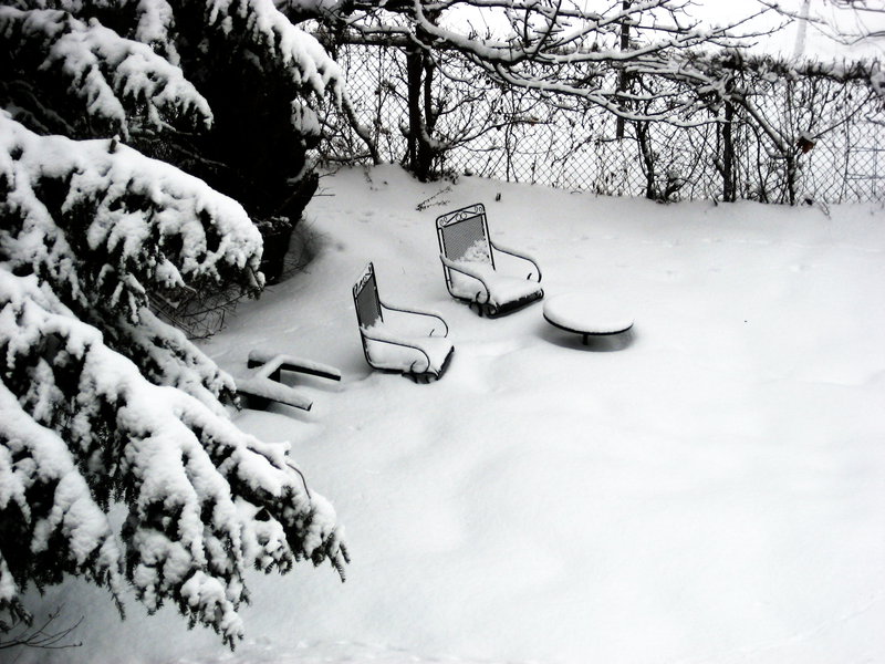 back-yard-winter.jpg