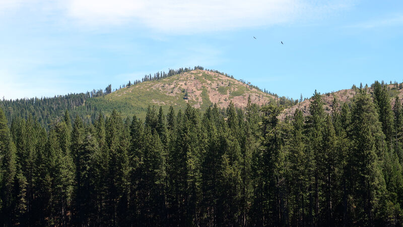 IMG_4915.jpg